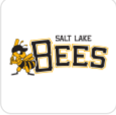 Salt Lake Bees